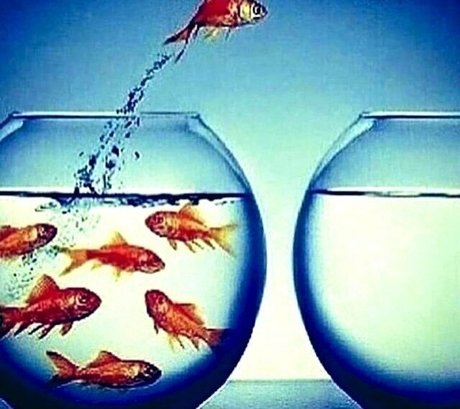 Kendall Jenner Ai Porn model free images