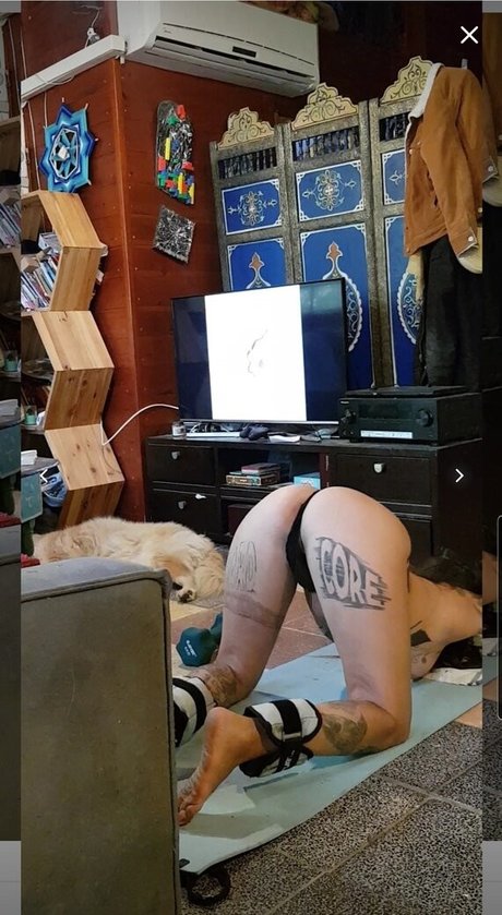 Bar Shachar high quality actress galleries