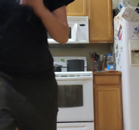 levy2679 art star gallery