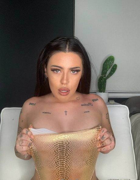 filthy lee art star images