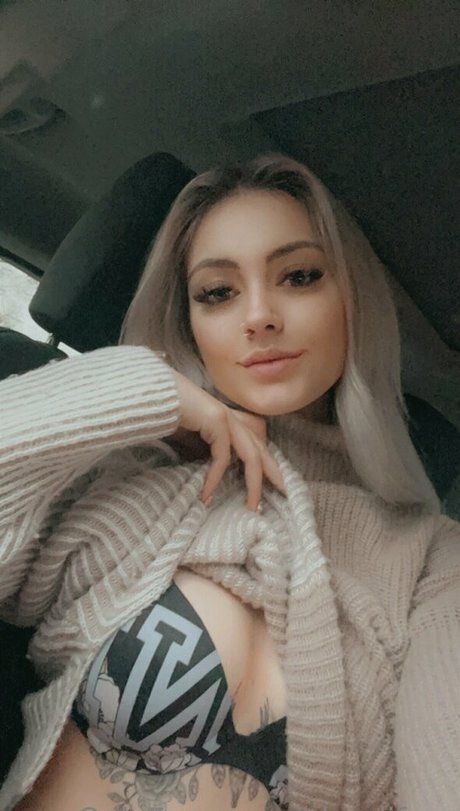 blondifree best star pictures