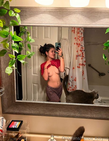 venus kittyxo porn actress image