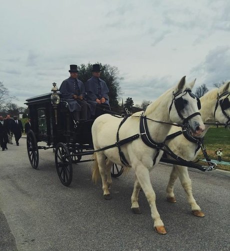 Logan Brickhouse hd model pics