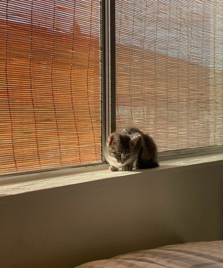 Anika Grace model nice photo