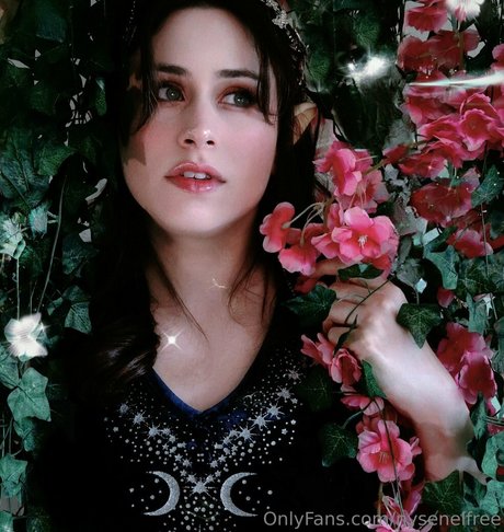 nysenelfree star perfect pic