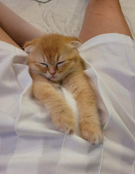 yogagirlfree model high quality archive