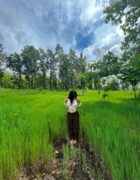 nam093178 best model image