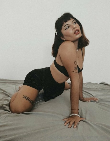 pietra blu model high quality img