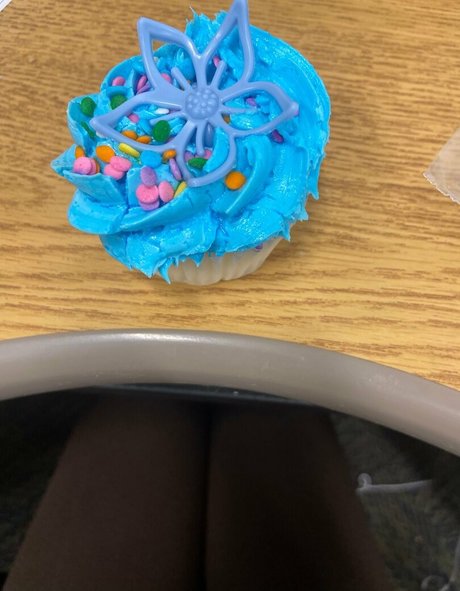 lilrosiedoll porn star galleries