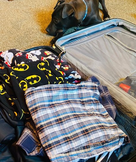 lilrosiedoll actress photos