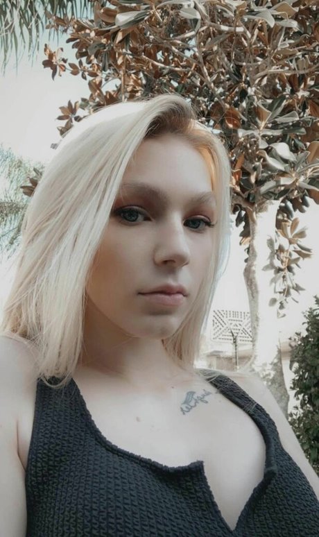 jaylynn0824 pornstar free gallery