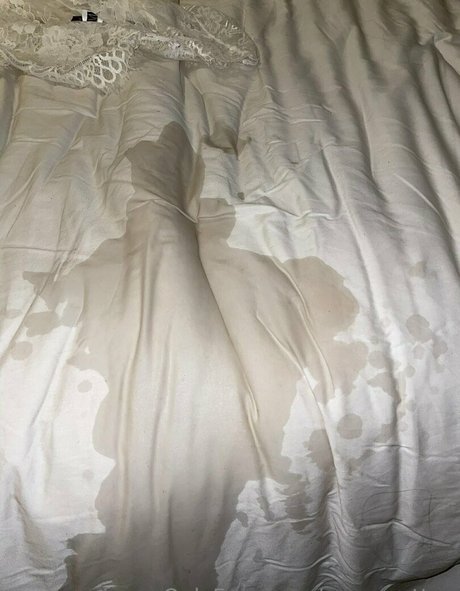 MsSweetTea best model img