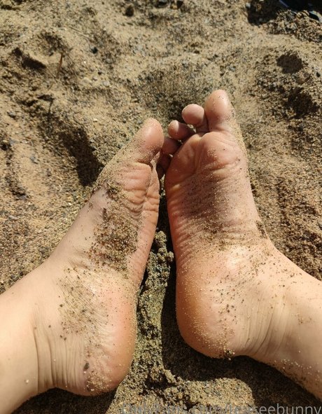 teaseebunny model high quality picture