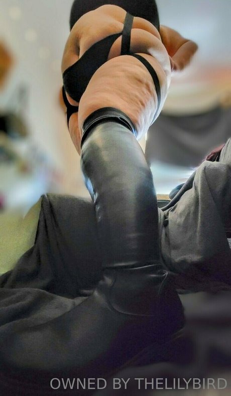 ladylilithbyrd star picture