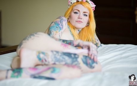 Faun high quality star photos