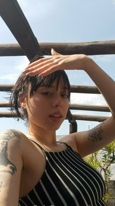 hotperson222 pornstar nice photos