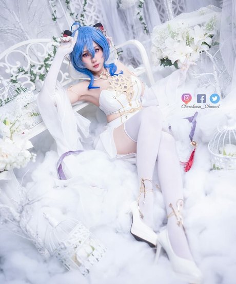 Chocokasa hot star images