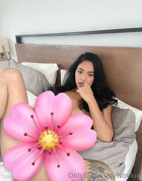 Novlux hd pornstar galleries