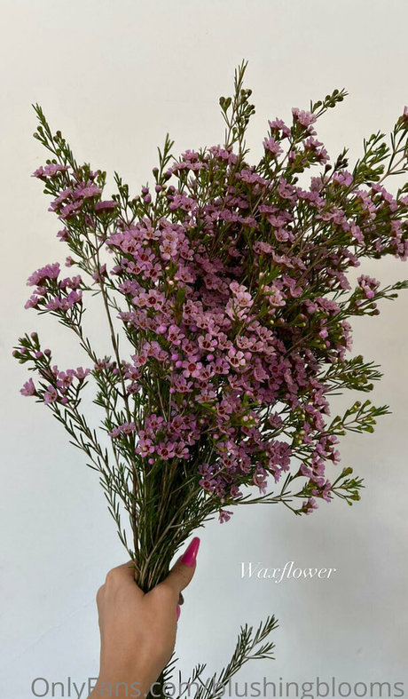 blushingblooms star hot photo