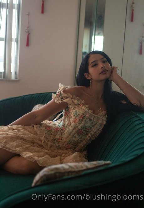 blushingblooms star hd archive