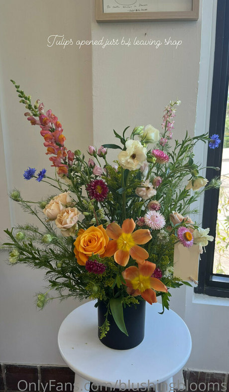 blushingblooms pornstar naked archive