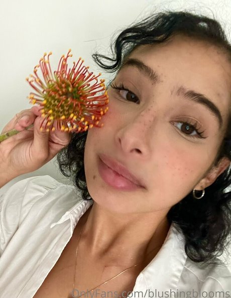 blushingblooms pretty star galleries