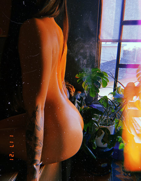 winniehoney beautiful pornstar galleries