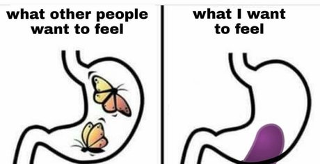 dickulousri star beautiful photo