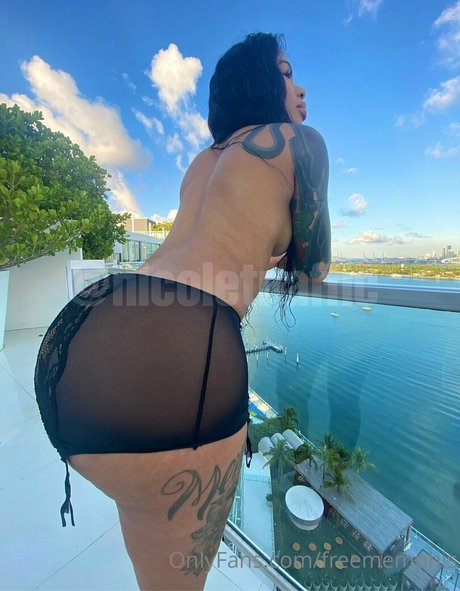 freememphis top star pictures