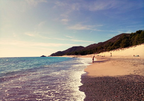 natuvic free free model archive