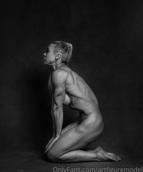 artfiguremodel pornstar sexy pics