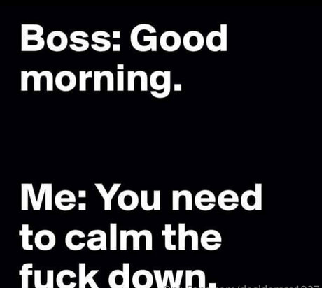 binxanddesi star free archive