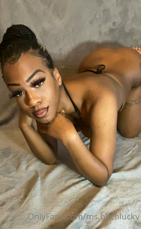 ms bitchlucky nice model archive