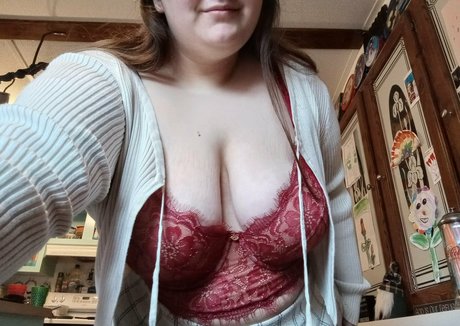 chubbyheifer model art gallery