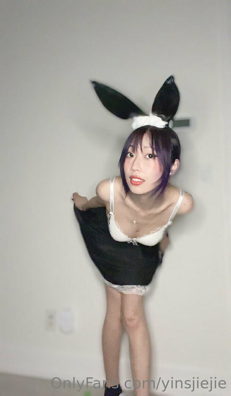 yinsdere best model galleries