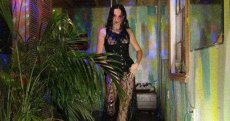 katcalico top star photo