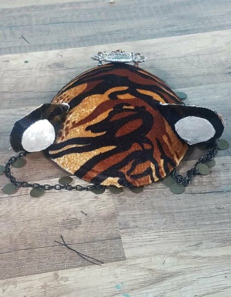 katcalico perfect star pictures