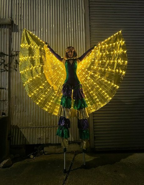 katcalico model high quality pic