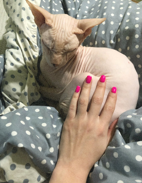 krisstile star beautiful gallery