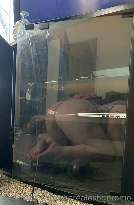 realginawaters best star gallery