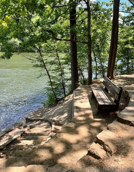 leahsade pornstar xxx image