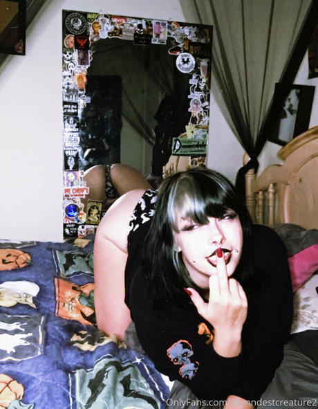 damndestcreature2 star beautiful pic