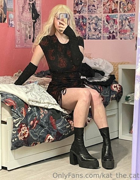 kat the cat top star images