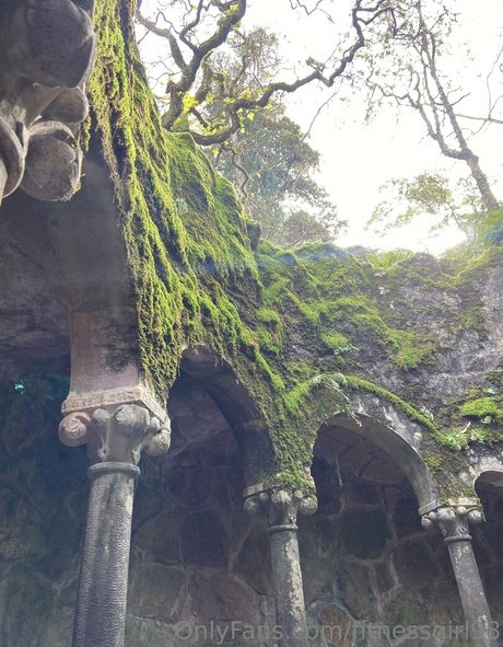 fitnessgirl98 pornstar art gallery