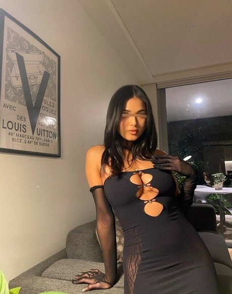 catsinasock high quality star photo