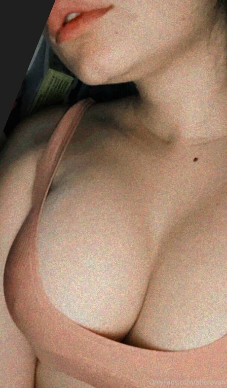 Kittyhere17 star free galleries