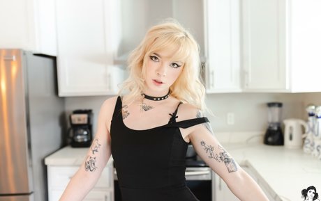 Sinkiity high quality pornstar pics