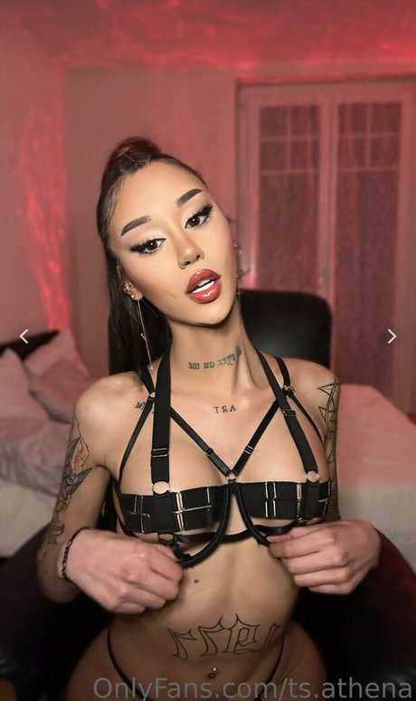 Arryadoll erotic pornstar image