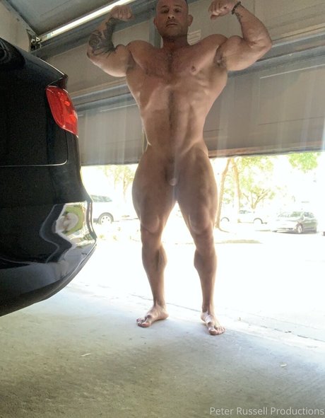 flexcash4 nice pornstar images