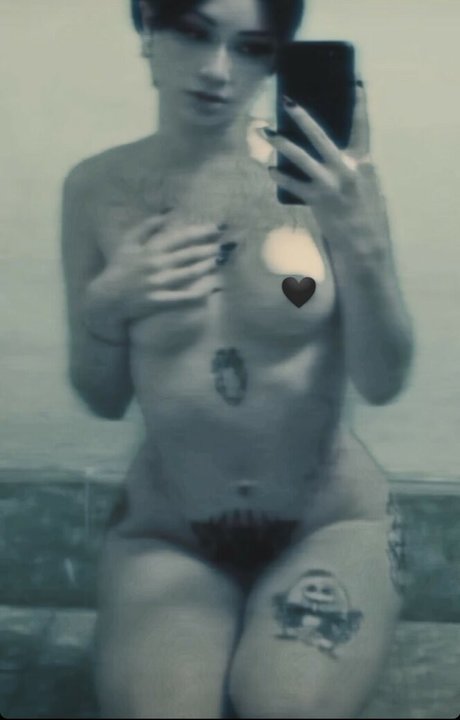 punk doberman top star pic